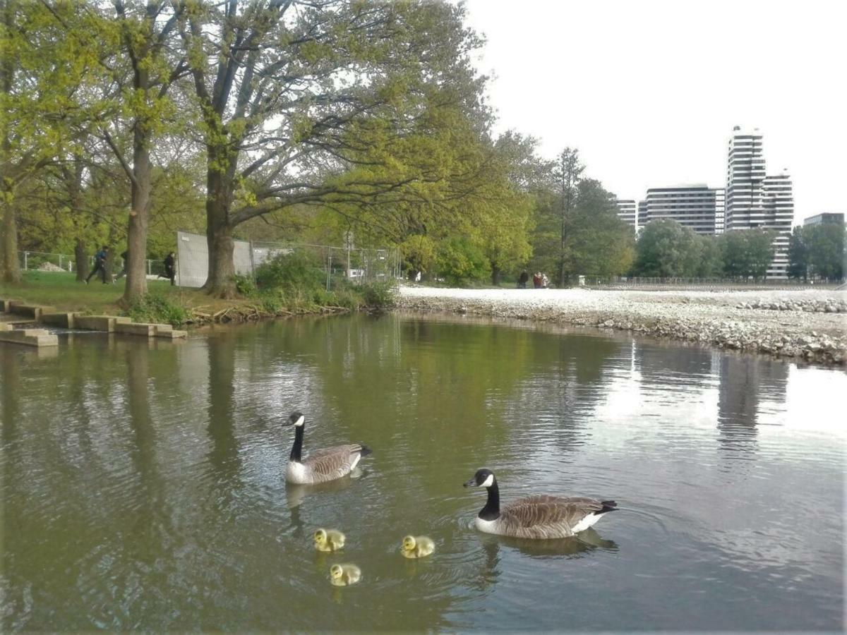 Ruhiges Apt. Direkt Am Naherholungsgebiet Mit Seeblick, Zentrum 5min, Messe 18min Appartement