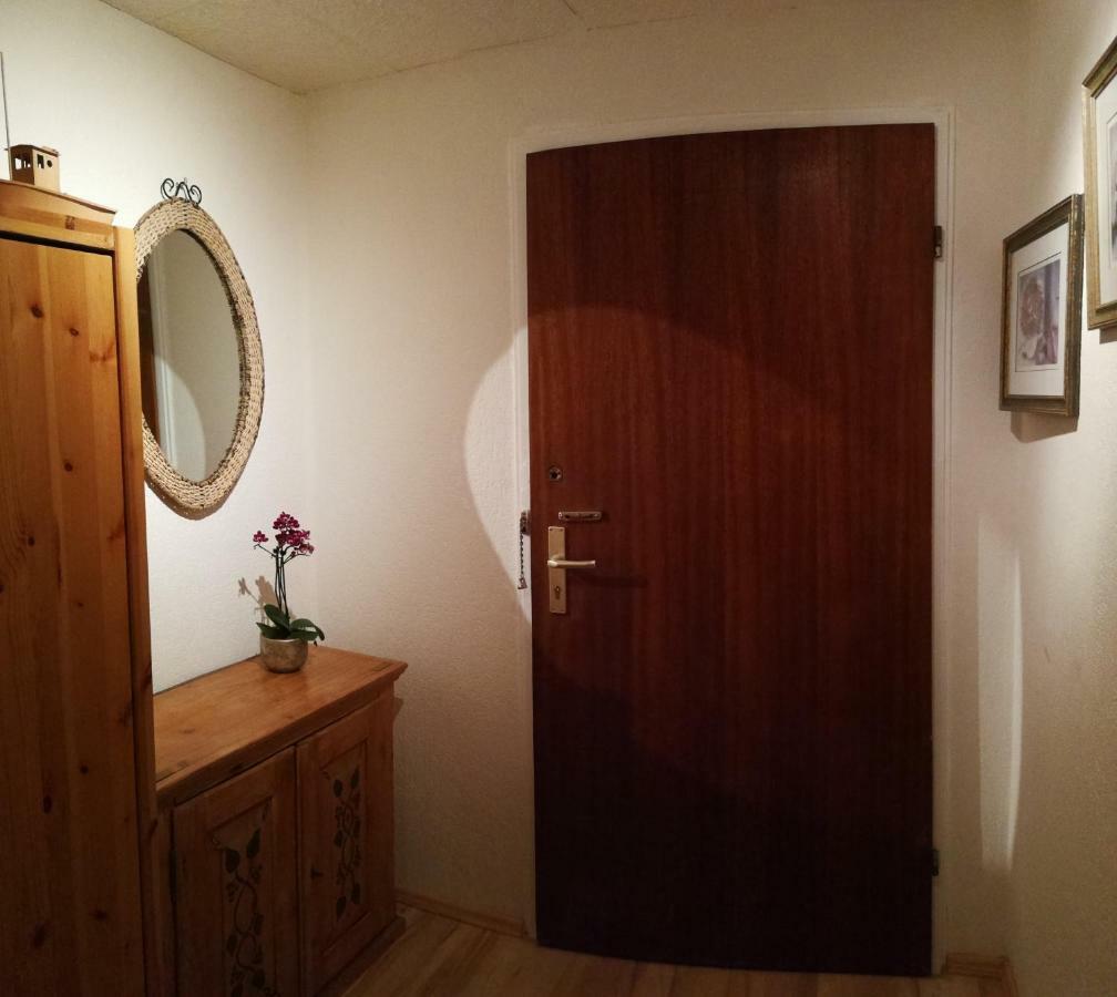 Ruhiges Apt. Direkt Am Naherholungsgebiet Mit Seeblick, Zentrum 5min, Messe 18min Appartement